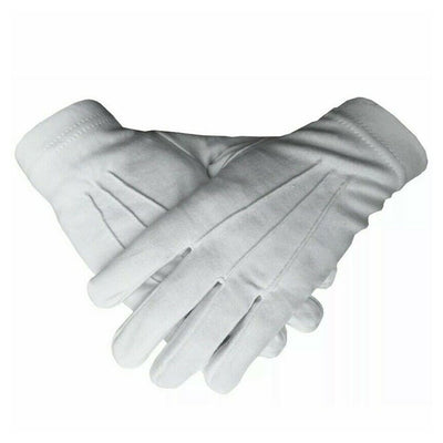 Masonic Regalia-CRAFT- PROVINCIAL DRESS APRON AND COLLAR, GLOVES SET (LAMBSKIN)